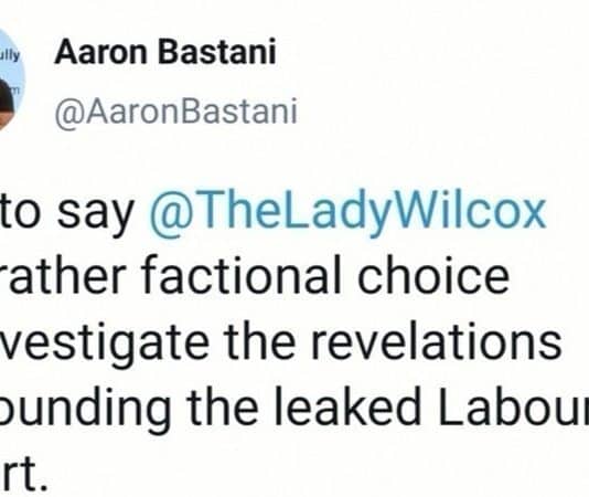 Leaked Labour report: Remove Baroness Wilcox from the panel and grow some…