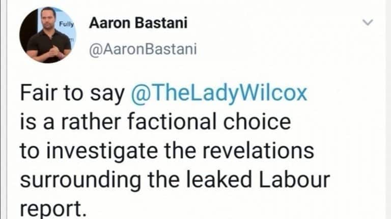 Leaked Labour report: Remove Baroness Wilcox from the panel and grow some…