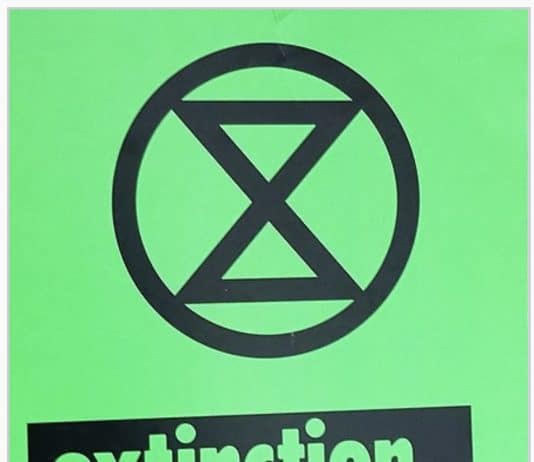 IT’S OFFICIAL – GOVERNMENT IS FAILING TO MEET ITS 2050 ZERO CARBON TARGET