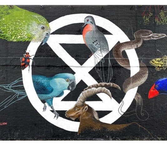 Extinction Rebellion Dorchester, Weymouth and Portland call for Citizens Assembly on Covid-19 recovery