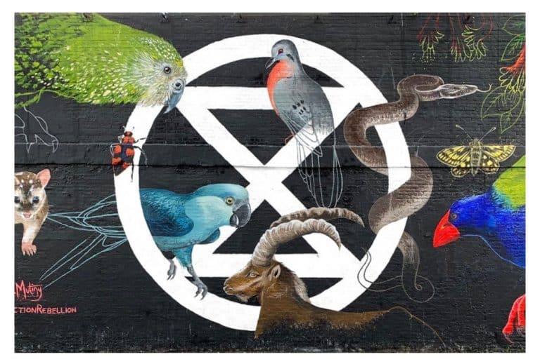 Extinction Rebellion Dorchester, Weymouth and Portland call for Citizens Assembly on Covid-19 recovery