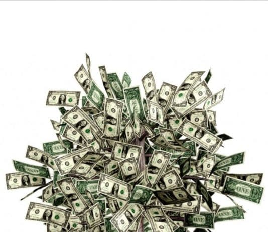 ‘Magic Money Tree’ now outstrips GDP in the UK