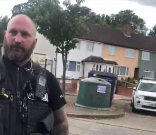 Suffolk police apologise after two white police officers harass black family in their driveway