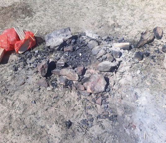 A busy day in Studland