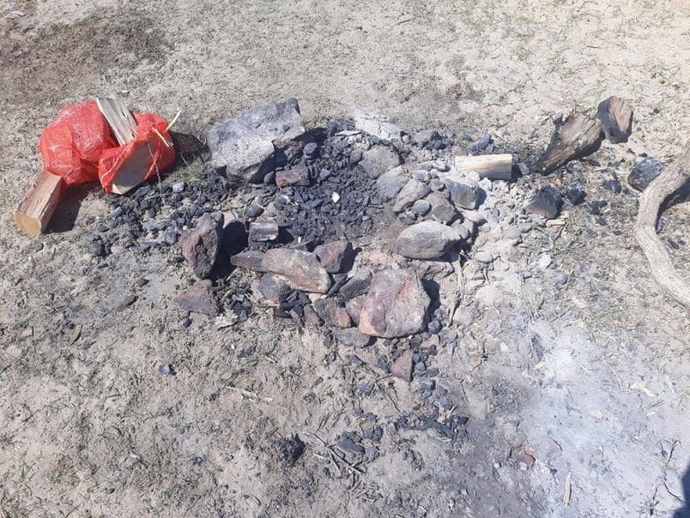 A busy day in Studland