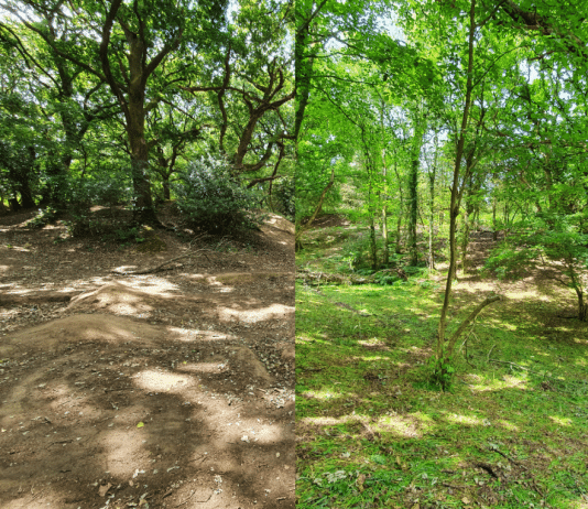 Public urged to protect internationally important wildlife site during Covid-19 lockdown