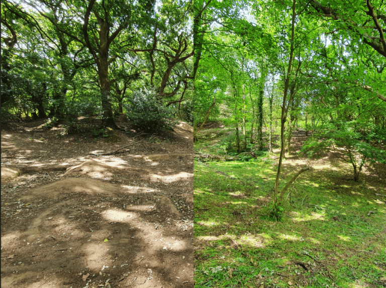 Public urged to protect internationally important wildlife site during Covid-19 lockdown