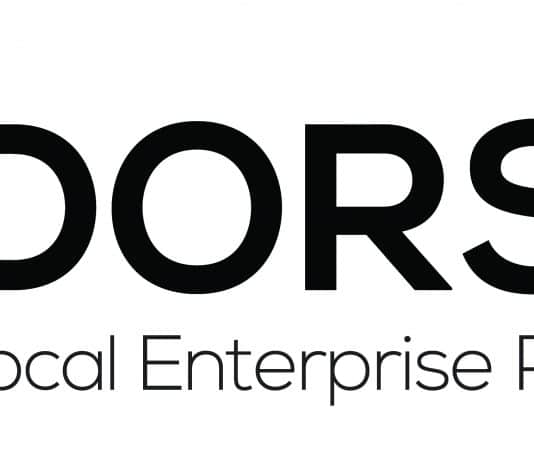 Over 120,000 Dorset jobs supported by national schemes