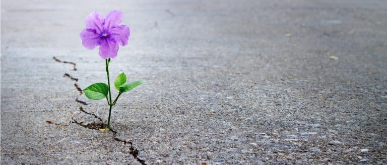 I am a Leaver but Tory Brexit strategy denies us hope