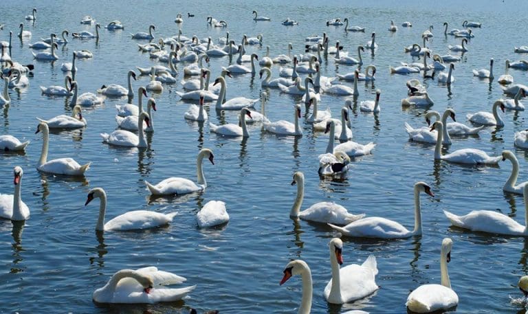 It’s that time of year when we are surrounded by life and hope