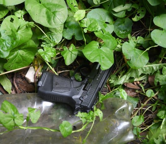 Pair jailed for firearms offences in Weymouth