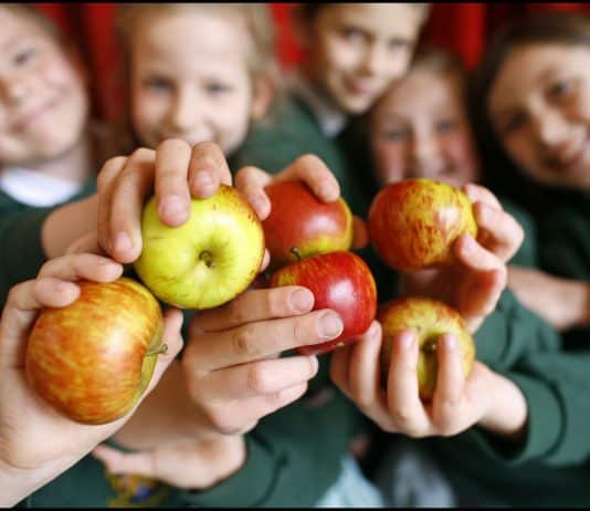 Don’t Panic: Tips for children… starting a new school