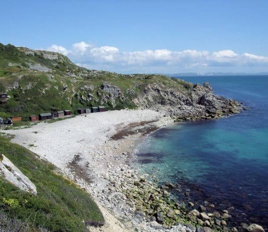 Search for man missing in the water off Portland