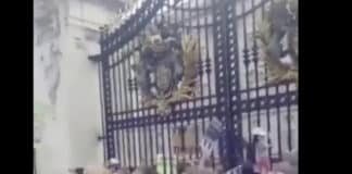 Large crowd outside Buckingham Palace chanting 'pedophile'