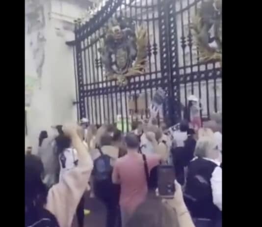 Large crowd outside Buckingham Palace chanting ‘pedophile’ Large crowd outside Buckingham Palace chanting 'pedophile'