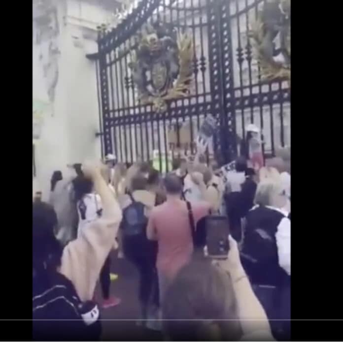 Large crowd outside Buckingham Palace chanting 'pedophile'