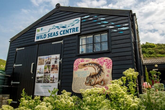 Wild Seas Centre opens with new art exhibition