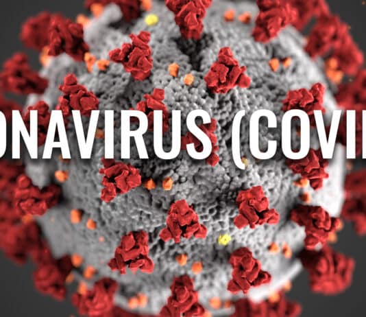 Multiple schools close across Dorset due to Covid-19 outbreaks Covid-19: It's NOT about the people who DIDN'T die