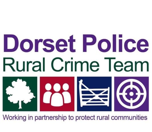 Police… seize dog as court warrant executed to prevent animal fighting