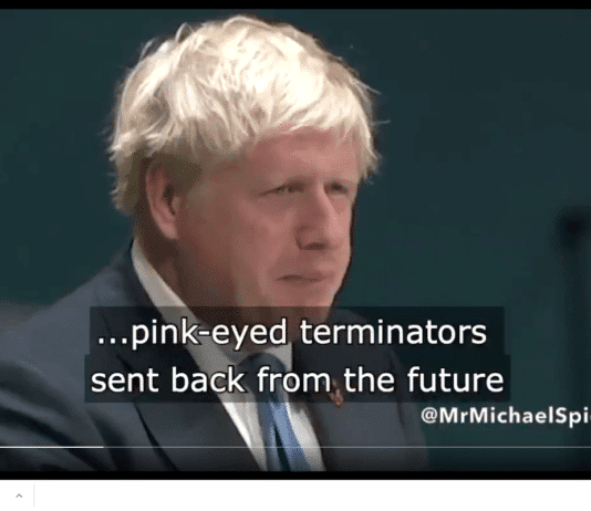 ‘You’re coming across like a posh coked up narwhal’ 'You're coming across like a posh coked up narwhal'