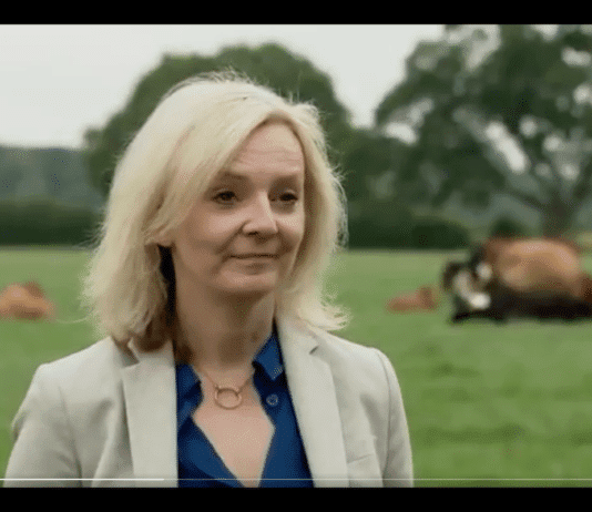 ‘Liz Truss are you comfortable working with someone who has been widely described as a sexist, misogynist, homophobic and a climate change denier?’ 'Liz Truss are you comfortable working with someone who has been widely described as a sexist, misogynist, homophobic and a climate change denier?'