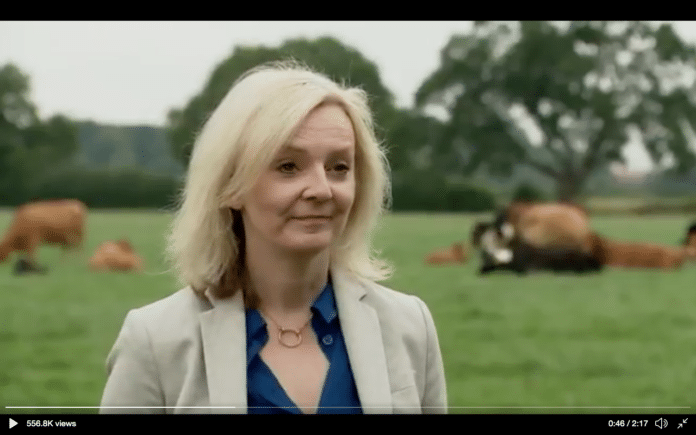 'Liz Truss are you comfortable working with someone who has been widely described as a sexist, misogynist, homophobic and a climate change denier?'