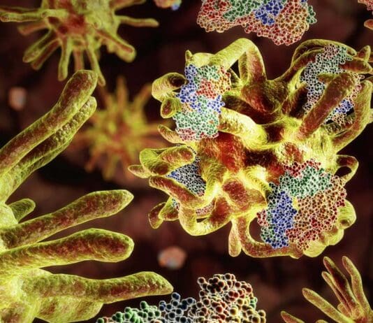 Human activity is destroying our species. We have to do things differently Human activity is destroying our species. We have to do things differently