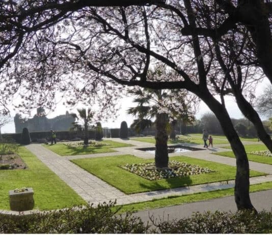 Free Health walks are back