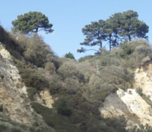 Work to start on the cliff stabilisation at Canford Cliffs