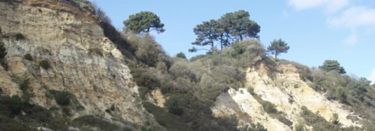 Work to start on the cliff stabilisation at Canford Cliffs