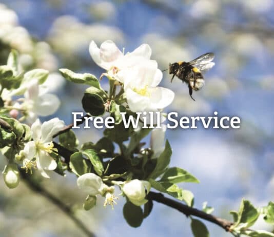 Free Will service returns for Dorset Wildlife Trust members