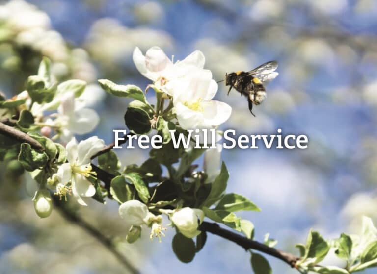 Free Will service returns for Dorset Wildlife Trust members
