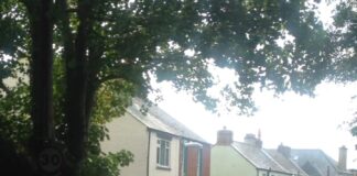 Man in his 50's suffers a punctured lung following a fail to stop in Bridport
