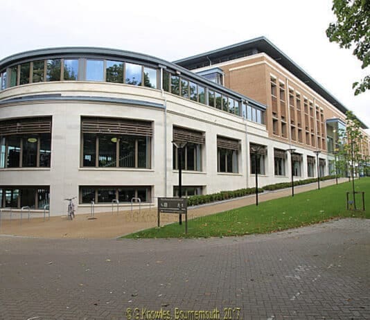 Dorset Council shakes the money tree