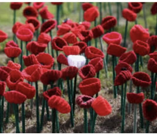 Weymouth Remembrance Day Service and Parade to take place at Nothe Fort