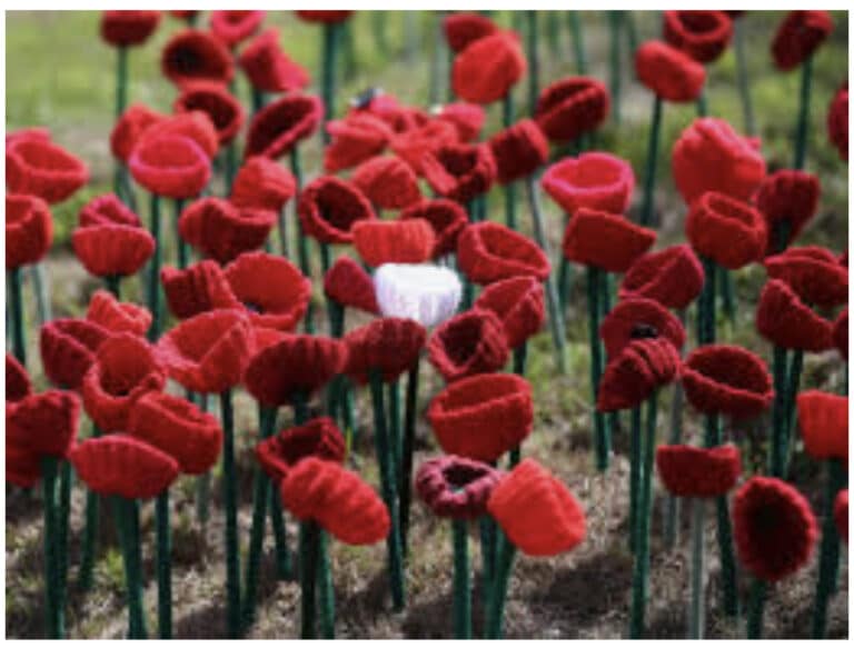 Weymouth Remembrance Day Service and Parade to take place at Nothe Fort
