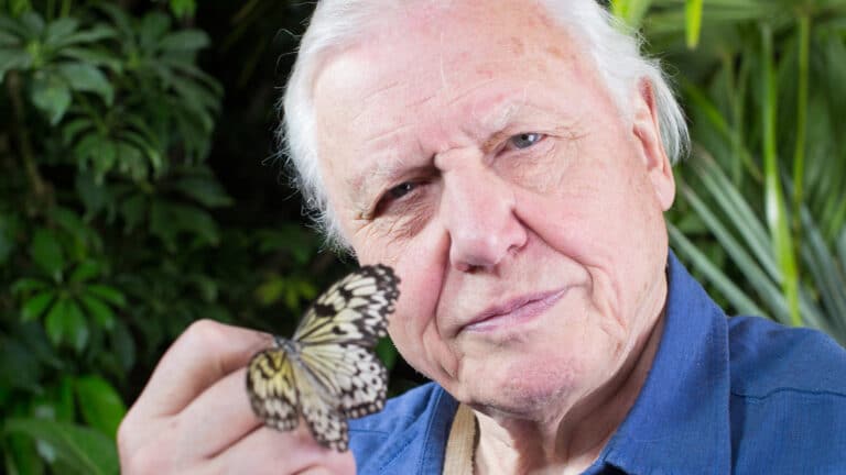David Attenborough: Greed and profiteering are killing the planet and humanity