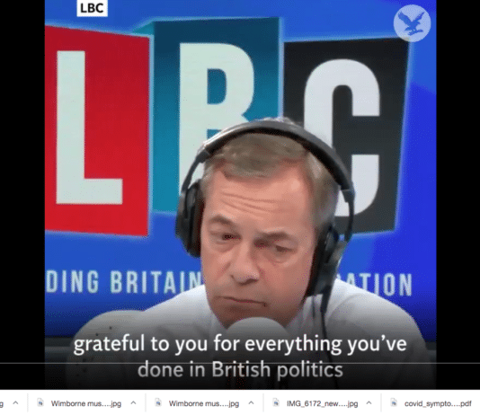 Nigel (pound shop nazi) Farage taken down with perfect precision