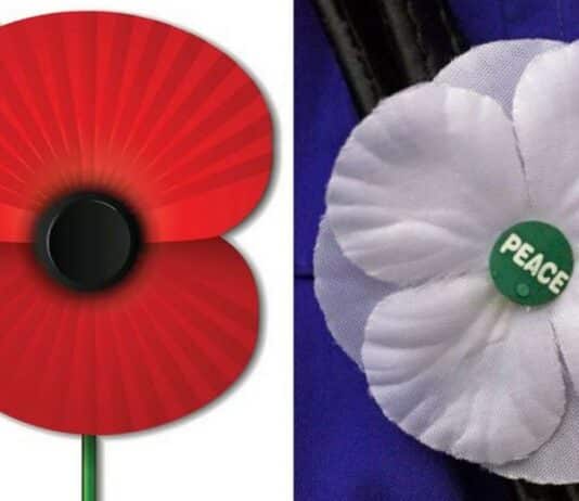 Dorset Council Remembrance Service to be live-streamed