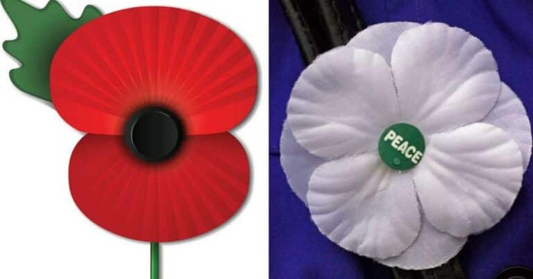 Dorset Council Remembrance Service to be live-streamed