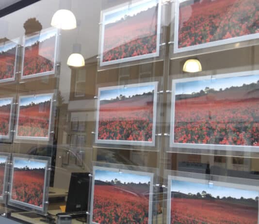 Far right hypocrisy over red poppies is merely tip of the iceberg