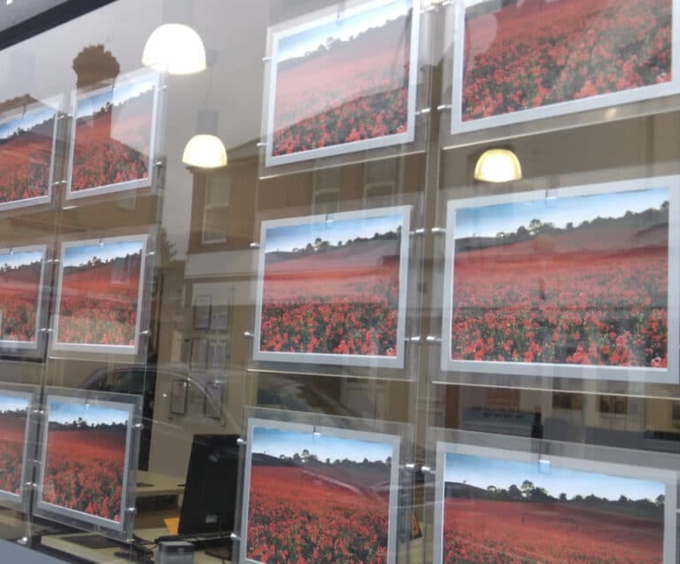 Far right hypocrisy over red poppies is merely tip of the iceberg