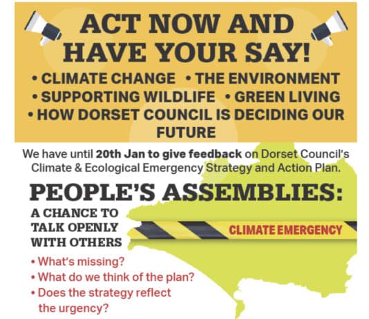 PEOPLES ASSEMBLIES TO DISCUSS DORSET COUNCIL’S CLIMATE AND ECOLOGICAL EMERGENCY STRATEGY AND ACTION PLAN