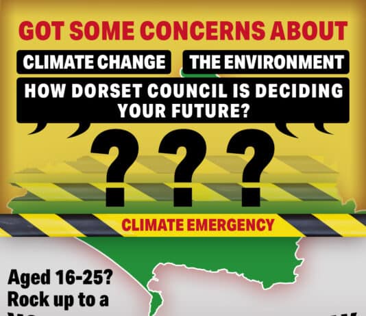 Young People’s Assemblies on Climate and Eco Action