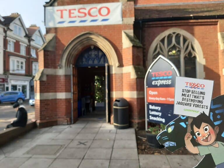 Jaguars cause uproar outside Tesco in Bournemouth and Poole to highlight supermarket’s link to deforestation