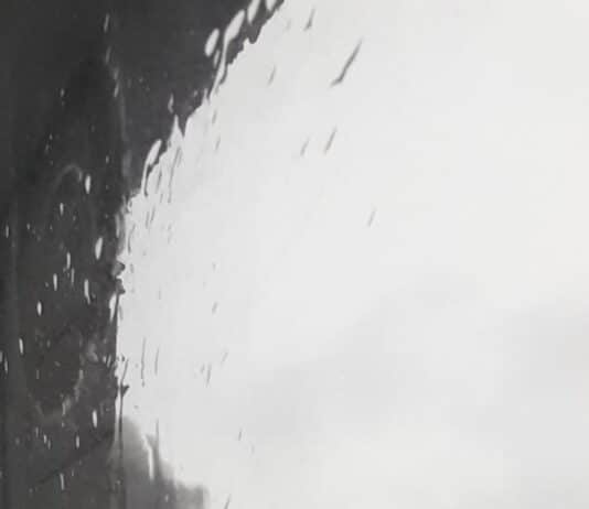 Bin collections across Weymouth and Portland suspended following Crookhill fire