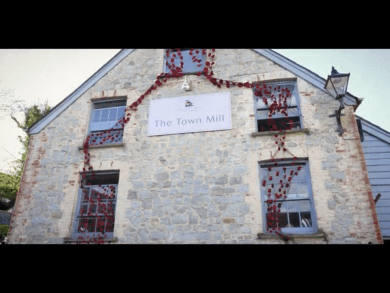 Lyme Regis volunteers create knitted poppies cascade