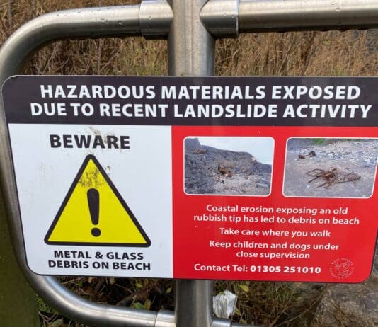 Lyme Regis Dog Owners asking for laws to be enforced