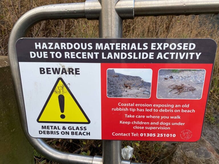 Lyme Regis Dog Owners asking for laws to be enforced