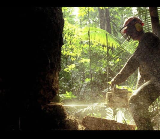 Global coalition required now or the ruination of biodiversity will kill off humanity